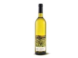 ���� �������� ���� 2011