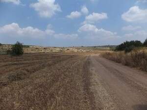 דרך החיטה. ים השיבולים שמסביב דרך החיטה. ים השיבולים שמסביב