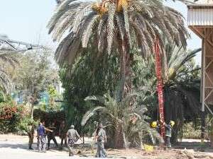 מאבטחים את האזור, שומרים על הילדים. כוחות הביטחון בשער הנגב היום מאבטחים את האזור, שומרים על הילדים. כוחות הביטחון בשער הנגב היום