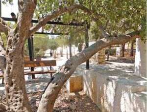 עצים, פסלים ושלטי תודה. פארק עצמאות ארה''ב עצים, פסלים ושלטי תודה. פארק עצמאות ארה''ב