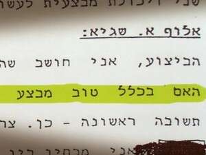 שגיא הסתייג. מתוך הפרוטוקולים שגיא הסתייג. מתוך הפרוטוקולים