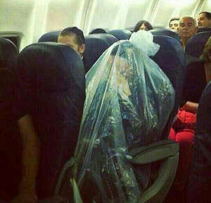 המנוע מגיע בקלות לכל תמונה שלכם המנוע מגיע בקלות לכל תמונה שלכם