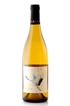 כבר באף הוא מפתה. לבן 2012, יקב ססלוב כבר באף הוא מפתה. לבן 2012, יקב ססלוב