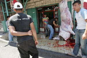 מנהג דתי עתיק יומין. שחיטה מנהג דתי עתיק יומין. שחיטה