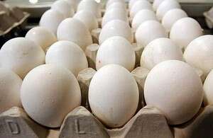 צילום: רובי קסטרו צילום: רובי קסטרו