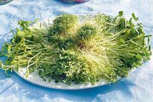 ����� ��� �� �������� ��� �����