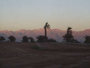 ���� �����