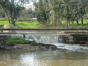 הירקון. ריאה ירוקה ופנינת טבע ממש באמצע העיר. צילום: עיריית רמת-גן הירקון. ריאה ירוקה ופנינת טבע ממש באמצע העיר. צילום: עיריית רמת-גן