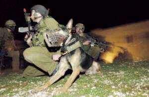 רק עשרה כלבים עברו את המבחנים. חייל וכלב מהיחידה. צילום: אריק סולטן רק עשרה כלבים עברו את המבחנים. חייל וכלב מהיחידה. צילום: אריק סולטן