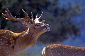 להסתכל לטבע בעיניים. צילום: דורון ניסים להסתכל לטבע בעיניים. צילום: דורון ניסים