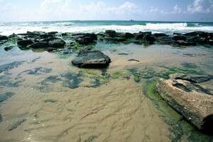 ''שבוע אהבה לסביבה, 2005. צילום: דורון ניסים ''שבוע אהבה לסביבה, 2005. צילום: דורון ניסים