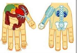 סו ג'וק סו ג'וק