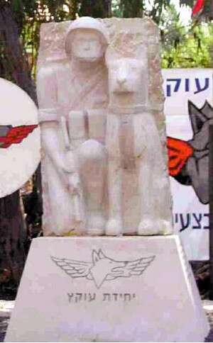 יחידת עוקץ: מלוחמה בטרור ועד חילוץ והצלה. צילום: רובי קסטרו יחידת עוקץ: מלוחמה בטרור ועד חילוץ והצלה. צילום: רובי קסטרו