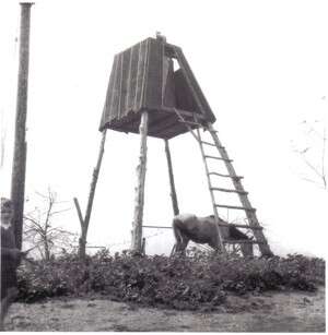 מגדל שמירה בידידיה. מגדל שמירה בידידיה.