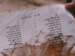 מילות השיר ''שיר לשלום'' מוכתמות בדמו של יצחק רבין. צילום: ראובן קסטרו מילות השיר ''שיר לשלום'' מוכתמות בדמו של יצחק רבין. צילום: ראובן קסטרו