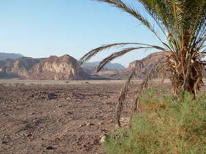 קרוב מדי לירדן? תמנע. צילום ארכיון: דובי זכאי קרוב מדי לירדן? תמנע. צילום ארכיון: דובי זכאי