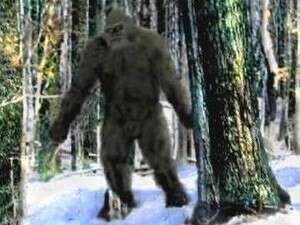 ����. ����� ������ ���������?