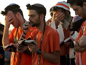 ���� ��������� ����. ������ ������ (�������� ��� ��� �����)