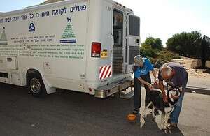 פעילי צער בעלי חיים עם המפונים. צילום: דובר צה פעילי צער בעלי חיים עם המפונים. צילום: דובר צה