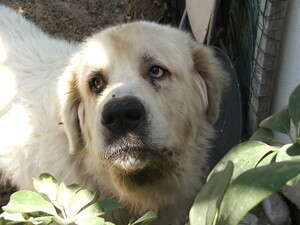 ������ ��.