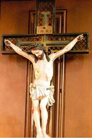 כל הזין בהצלֵב כל הזין בהצלֵב