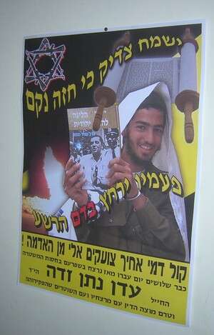 אם הוא באמת רצח, אמא תכעס עליו. נתן זאדה, צילום: רוטר-נט אם הוא באמת רצח, אמא תכעס עליו. נתן זאדה, צילום: רוטר-נט