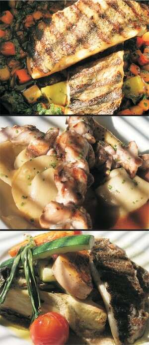 מנה דלת שומן באורקה מנה דלת שומן באורקה