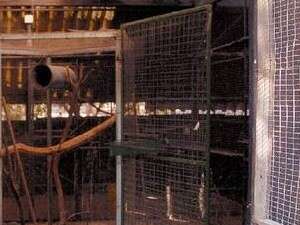 פינת החי בחצרים, השבוע. פינת החי בחצרים, השבוע.