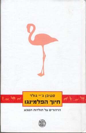 כאילו הפלמינגו פיתח לעצמו את המקור של עצמו. עטיפת הספר כאילו הפלמינגו פיתח לעצמו את המקור של עצמו. עטיפת הספר