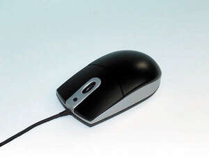 ���� ���� - ��� �� 40