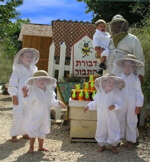 מרכז המבקרים דבורת התבור. צילום: יח מרכז המבקרים דבורת התבור. צילום: יח