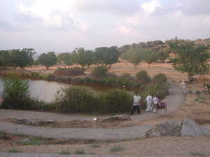 פינות רומנטיות ומערות. יער בן שמן פינות רומנטיות ומערות. יער בן שמן