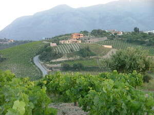 נופי כרתים. צילום: דובי זכאי. נופי כרתים. צילום: דובי זכאי.