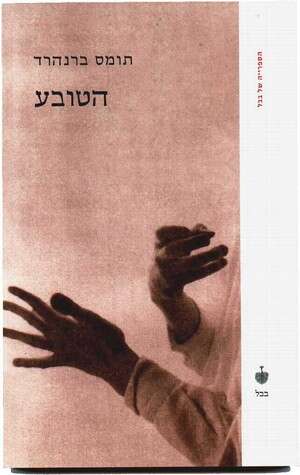 ורטהיימר וגולד הם הפכים שמשקפים זה את זה. צילום: ורטהיימר וגולד הם הפכים שמשקפים זה את זה. צילום: