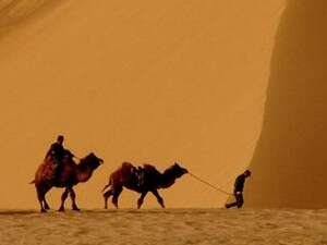 ���� �����