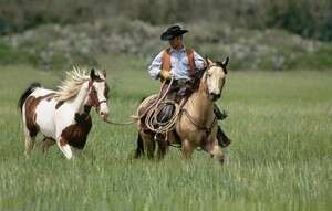 ��� �� ������ ��������, ���� ������. ����� ���������� :��� ����