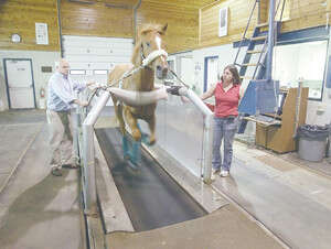 ���� ���� ������, ����� ������. �����: �� ��