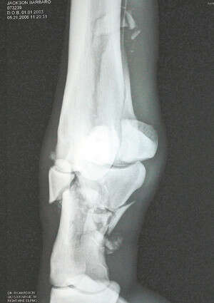 ������ ���� ����� �������, ���� ����� �� �����. �����: �� ��