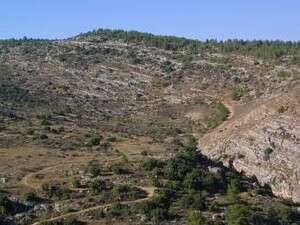 נחל יתלה, אחד מהמקומות היפים והחשובים בהרי יהודה ובישראל, ייפגע ללא יכולת שיקום נחל יתלה, אחד מהמקומות היפים והחשובים בהרי יהודה ובישראל, ייפגע ללא יכולת שיקום