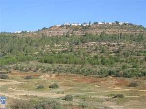 הרי ירושלים.להותיר את רכס לבן טבעי וללא פיתוח הרי ירושלים.להותיר את רכס לבן טבעי וללא פיתוח