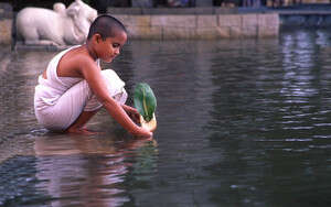 ���� ������ ����� ���� �� ������ ������. ���� ����