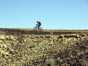 �����, �����