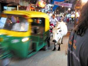 ����. ���� �� ���� �����, ����� ��� ����� ��������