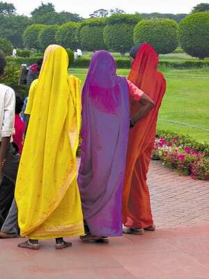 ����. ������ �� ���� �� ����� ������