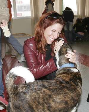 בנאי. אמא'לה 2. צילום: רפי דלויה בנאי. אמא'לה 2. צילום: רפי דלויה