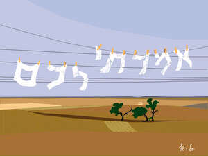 איור: יעל רשף איור: יעל רשף