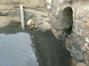 ����� ����.