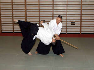 אייקידו אייקידו