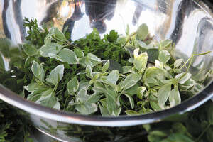 עשבי תיבול עשבי תיבול