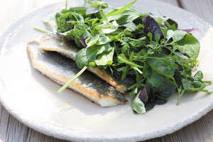 לברק עם סלט עשבי תיבול רענן לברק עם סלט עשבי תיבול רענן